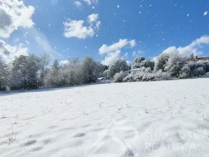Prodej pozemku, Sušice - Záluží, 3500 m2