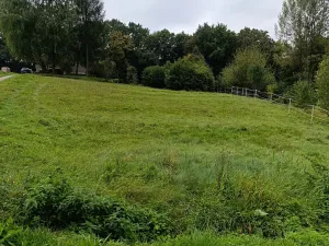 Prodej pozemku, Vratimov, Okrajová, 1251 m2