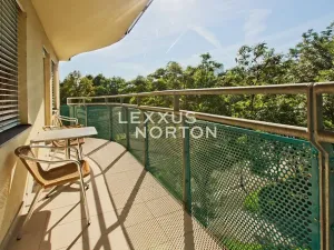 Pronájem bytu 2+kk, Praha - Vyšehrad, Neklanova, 68 m2