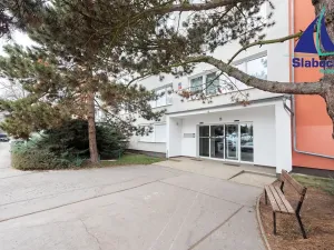 Prodej bytu 2+kk, Praha - Braník, Roškotova, 45 m2