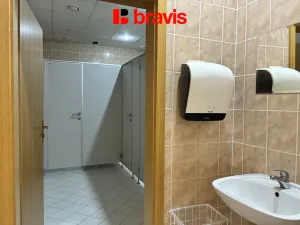 Pronájem kanceláře, Brno - Slatina, Hviezdoslavova, 257 m2