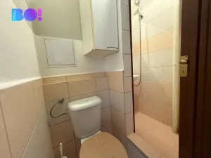 Pronájem bytu 1+kk, Ostrava, Žilinská, 24 m2