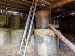 Prodej rodinného domu, Litíč, 60 m2