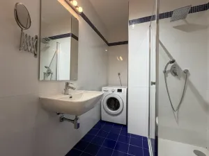 Pronájem bytu 2+1, Praha - Nové Město, Vyšehradská, 55 m2