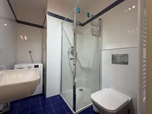 Pronájem bytu 2+1, Praha - Nové Město, Vyšehradská, 55 m2