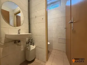 Pronájem obchodního prostoru, Havířov, Dlouhá třída, 55 m2