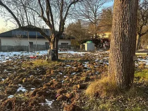 Prodej pozemku pro bydlení, Mnichovice, 800 m2