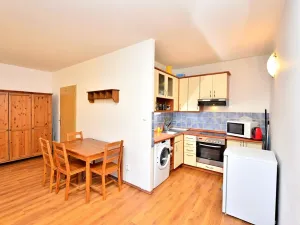 Pronájem bytu 1+kk, Praha - Libeň, Braunerova, 35 m2