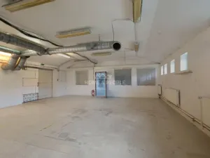 Pronájem výrobních prostor, Židlochovice, Žerotínovo nábřeží, 985 m2