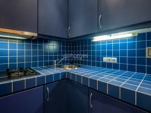 Pronájem bytu 2+1, Praha - Vinohrady, Anny Letenské, 54 m2