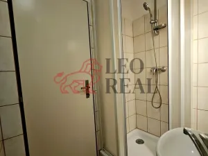 Pronájem bytu 1+1, Uherské Hradiště, Františkánská, 34 m2