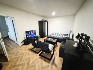 Prodej bytu 1+1, Litoměřice, Odboje, 46 m2