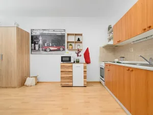 Pronájem bytu 1+kk, Liberec, Jeronýmova, 33 m2