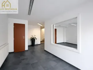 Pronájem obchodního prostoru, Hradec Králové, Vlčkovická, 700 m2