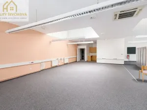 Pronájem komerční nemovitosti, Hradec Králové, Zemědělská, 695 m2