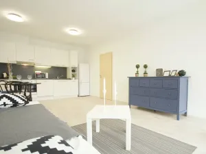 Pronájem bytu 2+kk, Brno, Košinova, 58 m2