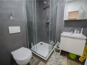 Prodej bytu 1+1, Liberec, Zlínská, 46 m2