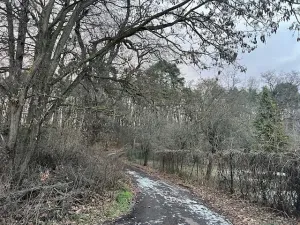 Pronájem bytu 2+1, Nový Vestec, Na Spořilově, 60 m2