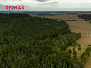 Prodej lesa, Všehrdy, 35057 m2