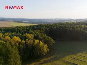 Prodej lesa, Všehrdy, 35057 m2