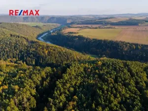 Prodej lesa, Všehrdy, 35057 m2