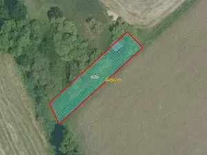 Prodej louky, Hrubý Jeseník, 519 m2