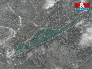 Prodej lesa, Hůrky, 6294 m2