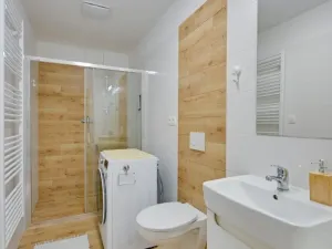 Pronájem bytu 1+kk, Šumperk, Bludovská, 37 m2