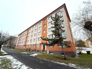 Pronájem bytu 2+1, Most, Pionýrů, 53 m2