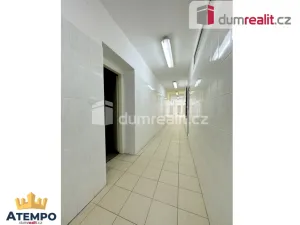 Prodej výrobních prostor, Vimperk - Vimperk III, Špidrova, 22351 m2