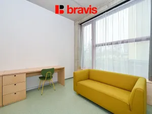 Pronájem bytu 1+kk, Brno - Trnitá, Dornych, 22 m2