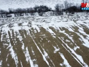 Prodej pole, Dolní Slivno, 10322 m2