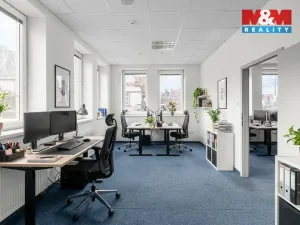 Pronájem kanceláře, Kladno, Čechova, 167 m2