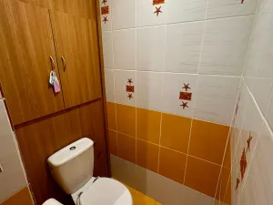 Pronájem bytu 2+1, Přerov, Hranická, 45 m2