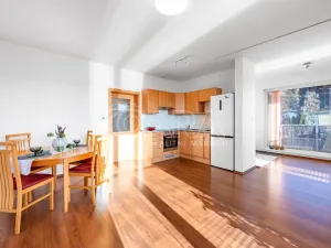 Prodej bytu 1+kk, Kařez, 45 m2