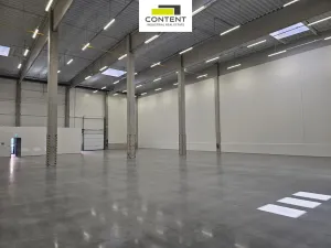 Pronájem výrobních prostor, Řepov, 816 m2