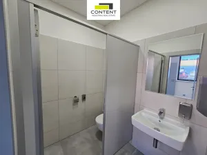 Pronájem výrobních prostor, Řepov, 874 m2