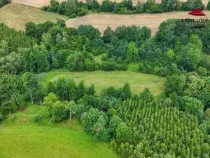 Prodej rybníku, Petrov, 7803 m2