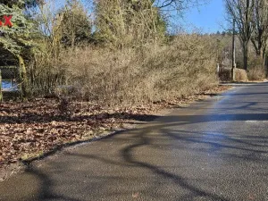 Prodej pozemku pro bydlení, Písek, 804 m2