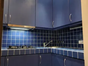 Pronájem bytu 2+1, Praha - Vinohrady, Anny Letenské, 54 m2