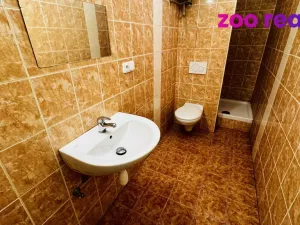 Pronájem bytu 2+1, České Budějovice, Rudolfovská tř., 45 m2