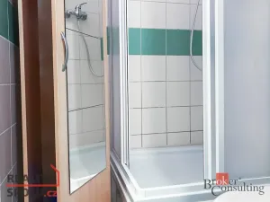 Prodej bytu 4+1, Brno - Zábrdovice, Cejl, 53 m2