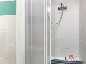 Prodej bytu 4+1, Brno - Zábrdovice, Cejl, 53 m2