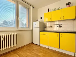 Prodej bytu 1+1, Hodonín, Brandlova, 32 m2