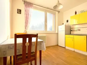 Prodej bytu 1+1, Hodonín, Brandlova, 32 m2