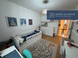 Pronájem bytu 2+1, Brno, Náplavka, 58 m2