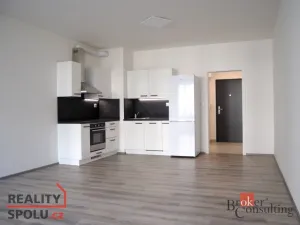 Prodej bytu 1+kk, Plzeň - Jižní Předměstí, Goldscheiderova, 39 m2