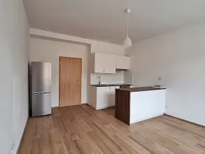 Pronájem bytu 3+kk, Praha - Břevnov, Bělohorská, 75 m2