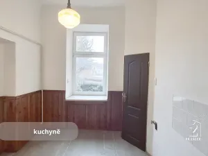 Prodej bytu 2+1, České Budějovice, Žižkova tř., 69 m2