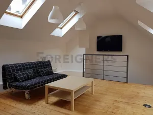 Pronájem bytu 3+kk, Olomouc, Uhelná, 95 m2
